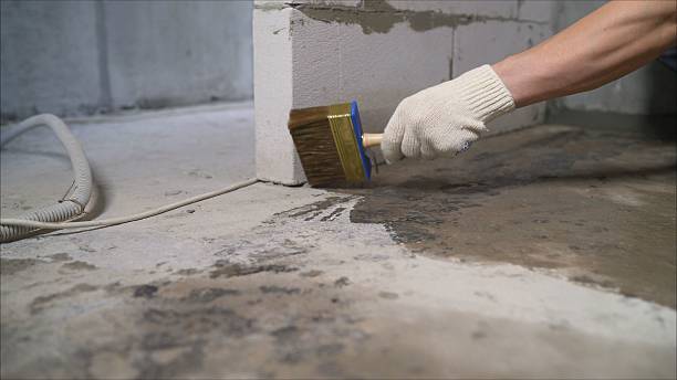 Top rated local Waterproofing specialists in Russellville, IN